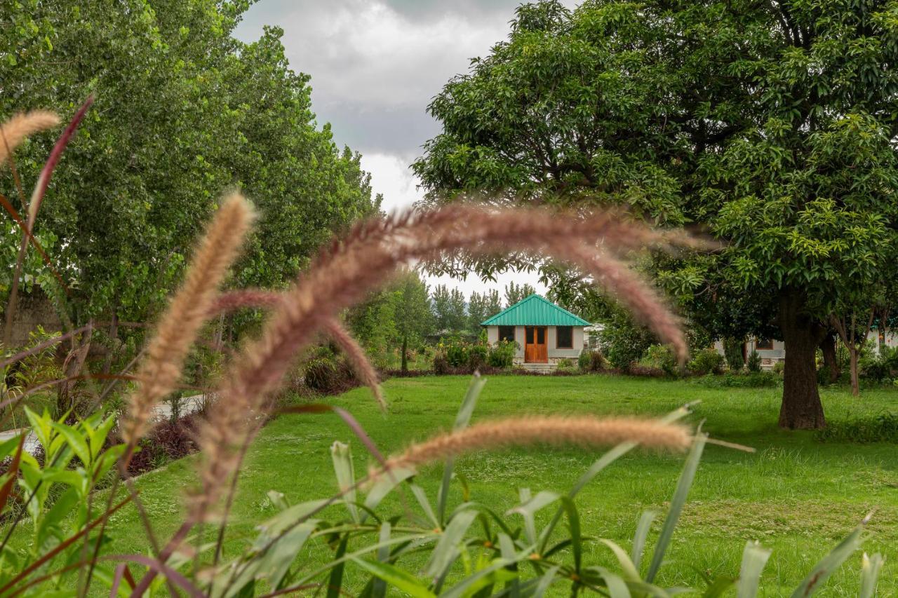 Zana Luxury Forest Resort, Ranthambore Савай-Мадгопур Екстер'єр фото
