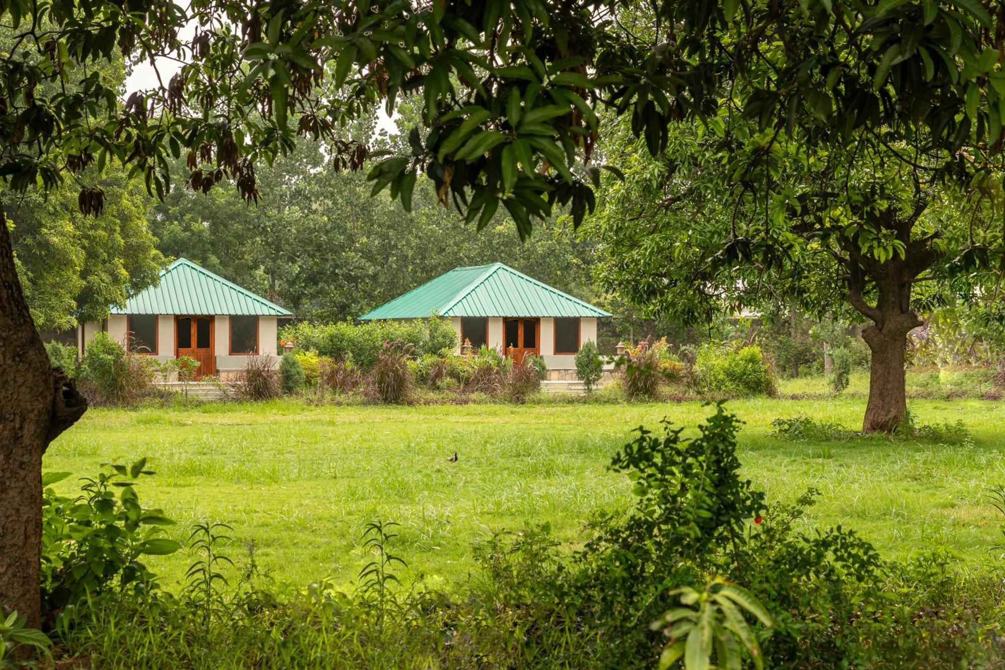 Zana Luxury Forest Resort, Ranthambore Савай-Мадгопур Екстер'єр фото